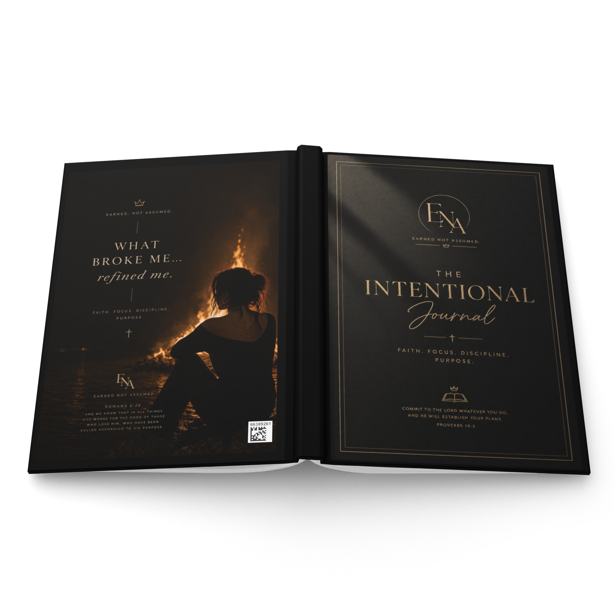 The Intentional — Journal